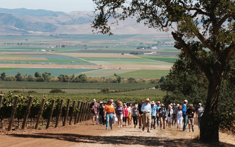 Touring of the Double L Vineyard