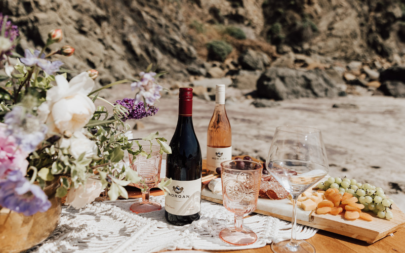 Morgan Wines and cheeses beach picnic