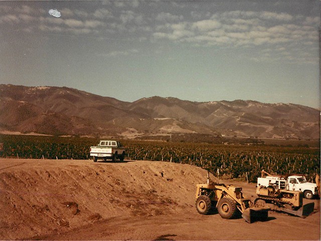 1991 - Morgan Winery vineyards renovation